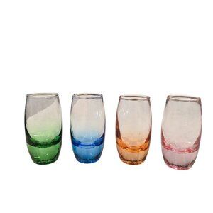 Carnival Cruise Line Etched Heavy Base Multicolors Souvenir Shot Glasses 4"